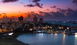 Image related to Colon