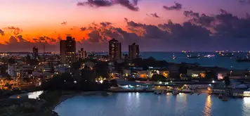 Image related to Colon