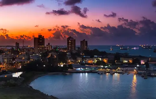 Image related to Colon