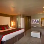 Overview of a Deluxe Suite