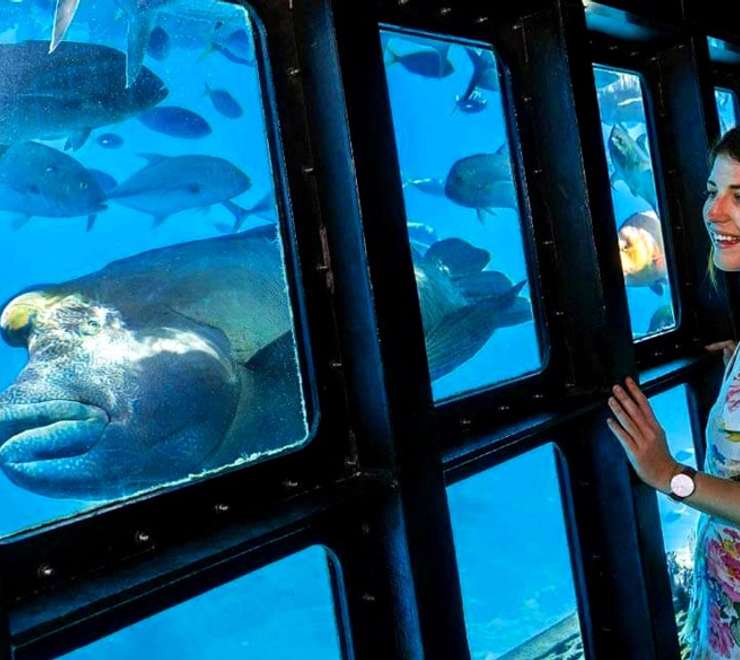 Underwater Observatory