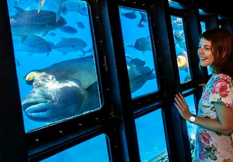 Underwater Observatory