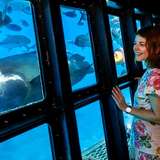 Image related to Underwater Observatory