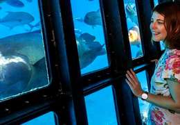 IgluCruise.Application.ViewModels.Shared.WebImageViewModel?.Description