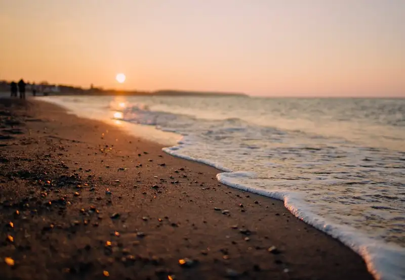 Local Beach
