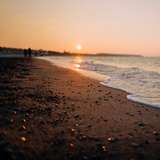 Image related to Local Beach