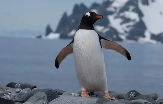 Image related to Penguins