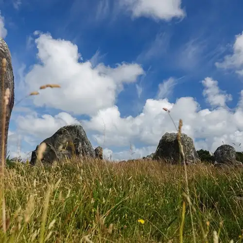 Image related to Alignements de Carnac