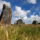 Image related to Alignements de Carnac