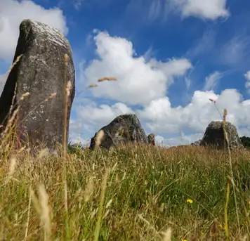 Image related to Alignements de Carnac