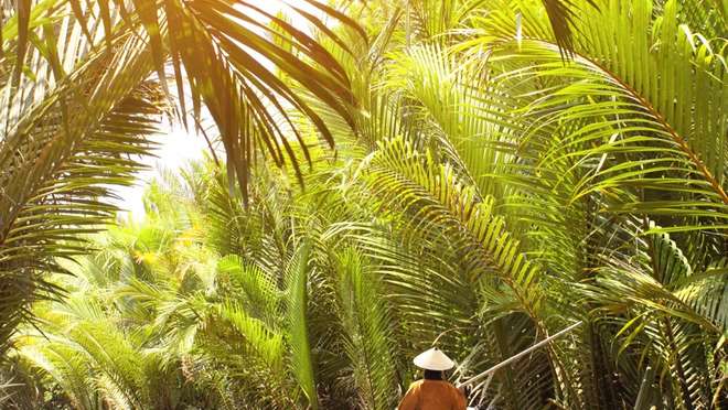 Discover the Mekong Delta by Boat