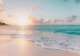 Coral Beach
