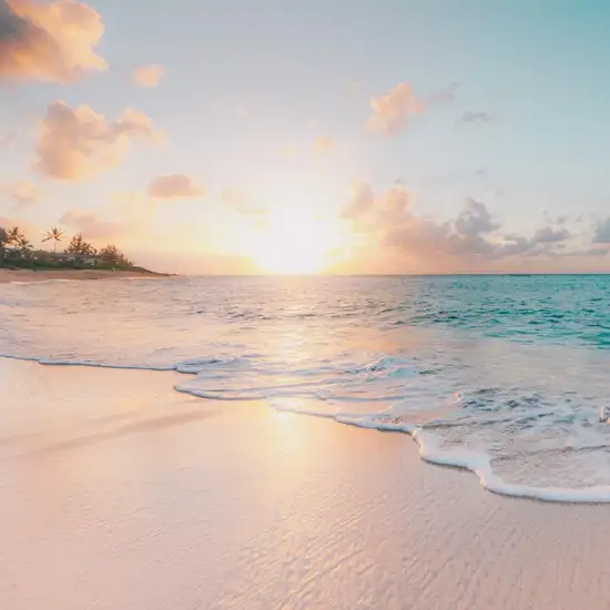 Image related to Coral Beach