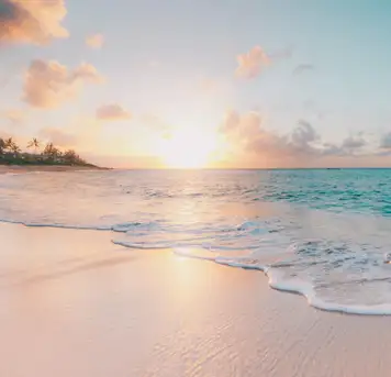 Image related to Coral Beach