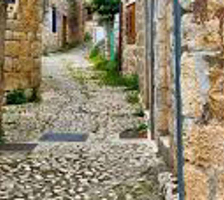 Wander the Historic Old Town