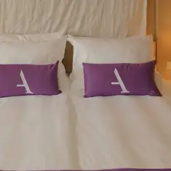 Image related to Premium Suite Cabin