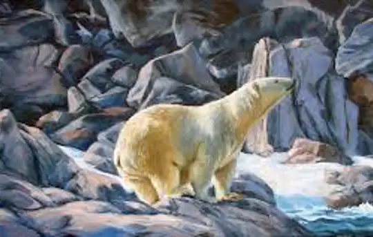 Image related to Wildlife Spotting