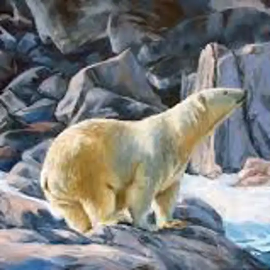 Image related to Wildlife Spotting