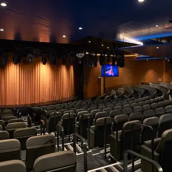 Image related to Carnival Encounter