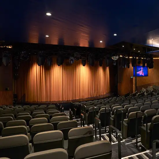 Image related to Carnival Encounter