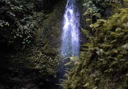 IgluCruise.Application.ViewModels.Shared.WebImageViewModel?.Description