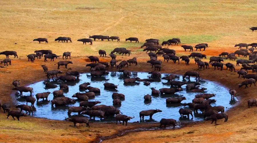 Image related to Africa Cruise Deals