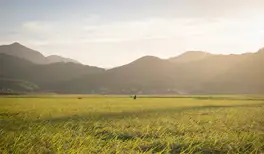 Image related to Tokushima