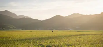 Image related to Tokushima