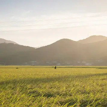 Image related to Tokushima