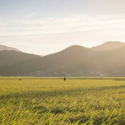 Image related to Tokushima