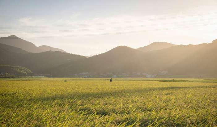 Tokushima