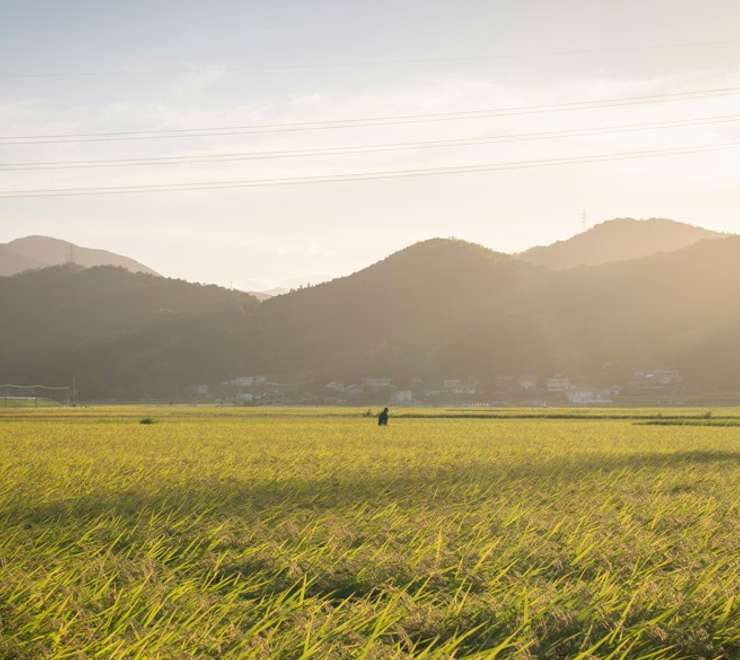 Tokushima