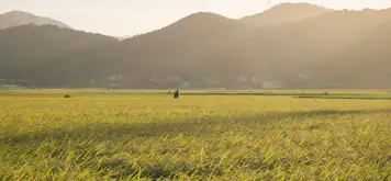 Image related to Tokushima