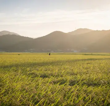 Tokushima