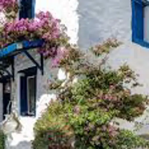 Image related to Skopelos Town