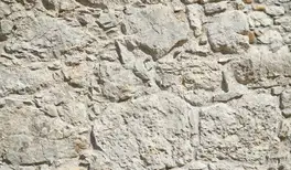 Image related to Circ Roma