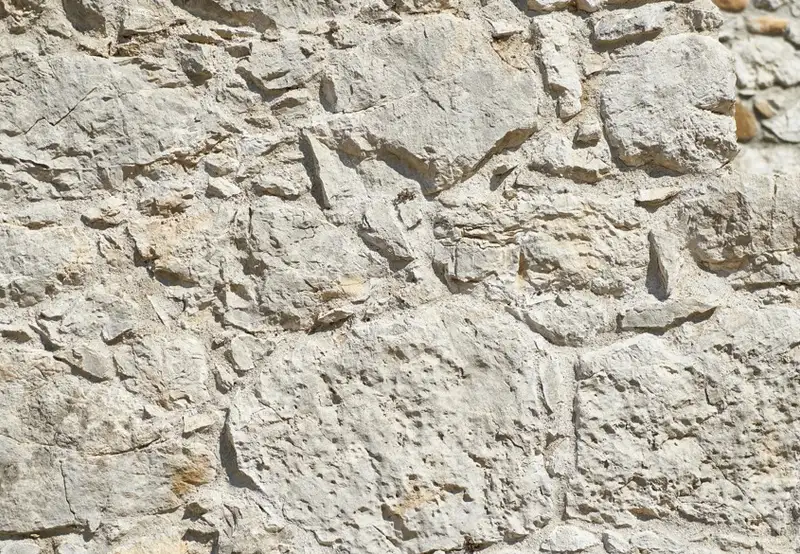 Image related to Circ Roma