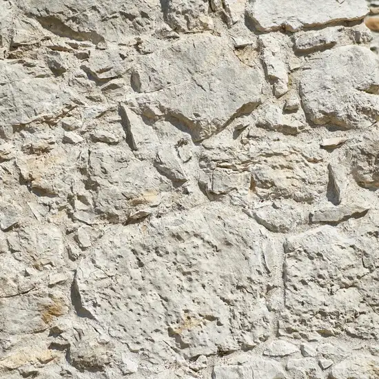 Image related to Circ Roma