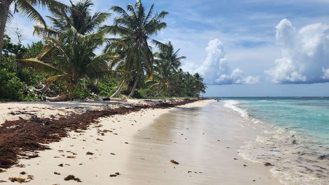Discover a tranquil Puerto Rican island home to one of the world's most beautiful beaches.