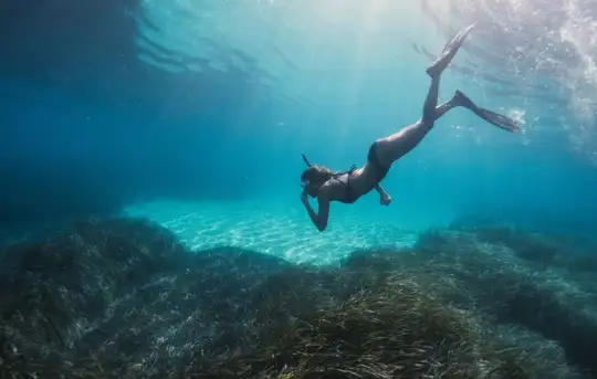 Image related to Inhaca Snorkelling