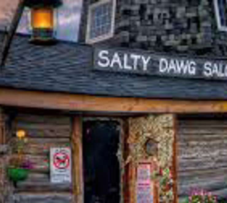 Visit The Salty Dawg Saloon