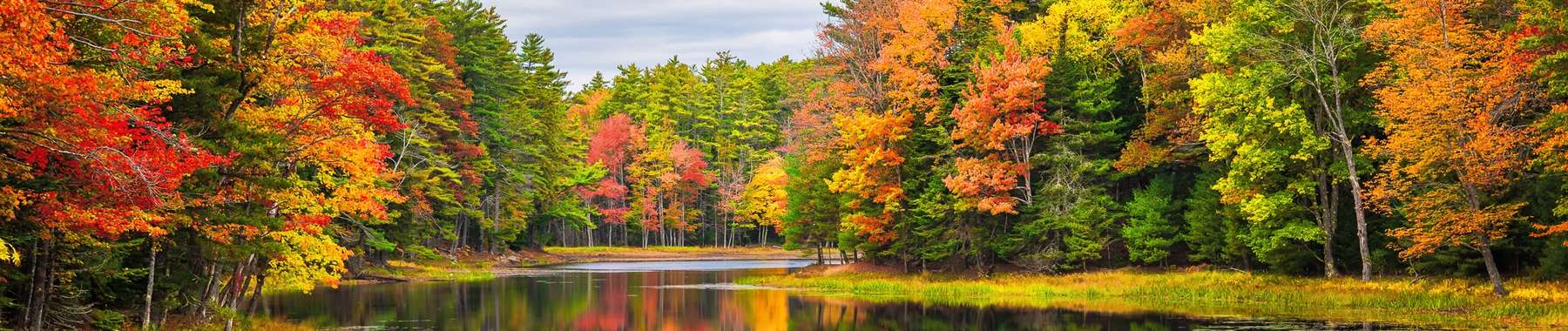 New England cruises