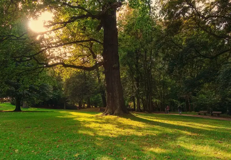 Image related to Schlossgarten