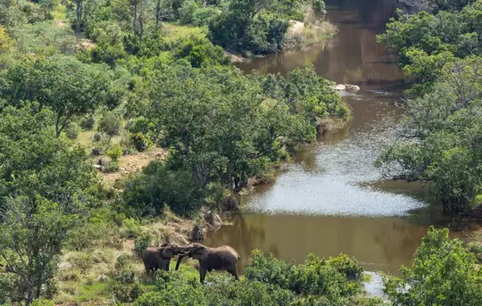 Image related to Welgevonden Game Reserve - Morning & Afternoon Game Drive