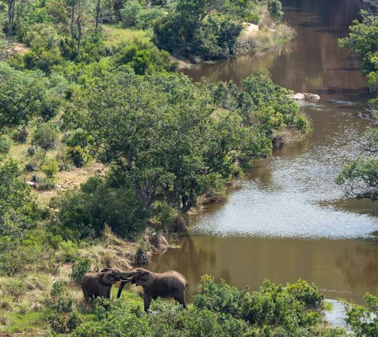 Welgevonden Game Reserve - Morning & Afternoon Game Drive