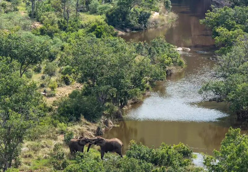 Welgevonden Game Reserve - Morning & Afternoon Game Drive