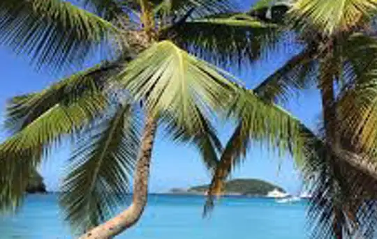 Image related to St. John