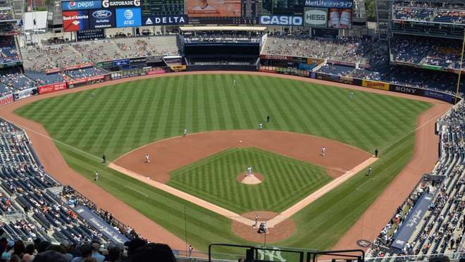 MLB Baseball New York Yankees