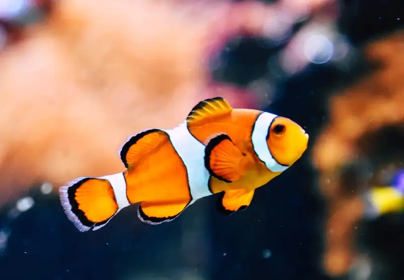 Florida Aquarium 