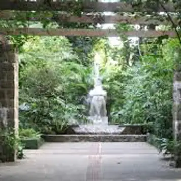 Image related to Orquidário Municipal